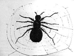 паук